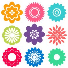 Flowers N205