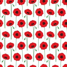 Red poppies N2