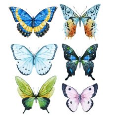 watercolor butterflies N2