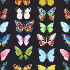 Watercolor butterfly pattern N3