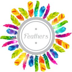Colorful background with bright abstract transparent feathers N4