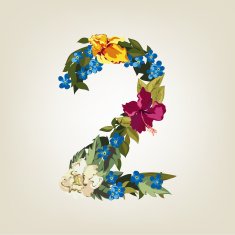 Numbers Vector Colorful Flower Font N8
