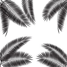 Palm Leaf Vector Illustration N6