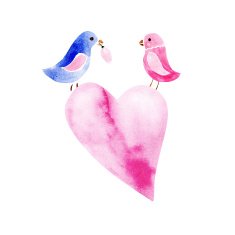 pair of watercolor birds N3