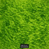 Abstract green texture elegant background
