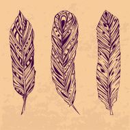 Three hand drawn feathers