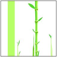 green flora N2