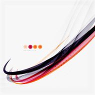 Purple and orange color lines on white N29