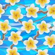 Tropical flowers plumeria N5