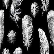 White hand drawn feathers set N2