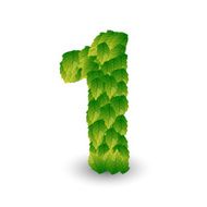Figure 1 from green leaves with shadow vector