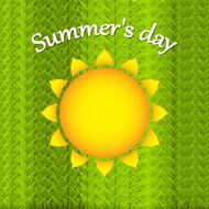 Summer background sun grass vector illustration