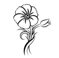 Flowers N207