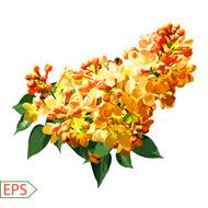 Spring izolate lilac flower for the design Vector illustration N2