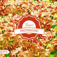 Spring seamless for the design of flowers Vector illustration