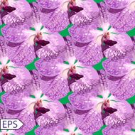 Violet orchid seamless vector pattern with green background