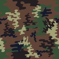 Camouflage seamless pattern Woodland style
