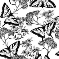 Seamless vector pattern with butterflies herbs and flowers N2
