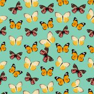 Seamless colorful background made of different butterflies N2