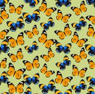 Seamless colorful background made of different butterflies N3