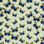 Seamless colorful background made of butterflies N4