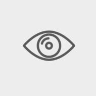 Eye thin line icon N3