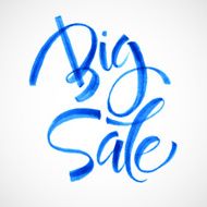 Big Sale Inscription Calligraphy Lettering Vector illustration N4