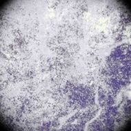 Grunge abstract background N1102