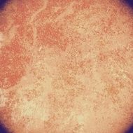 Grunge abstract background N1103