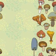 Seamless vector border of different mushrooms N3