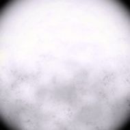 Grunge abstract background N1174