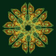 isolated colorful mandala picture 2