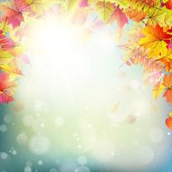 Autumn abstract background eps 10 N7
