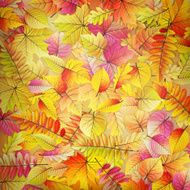 Colorful fallen autumn leaves EPS 10 N2