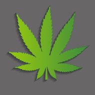 Abstract Cannabis Background Vector Illustration N10
