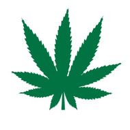 Abstract Cannabis Background Vector Illustration N11