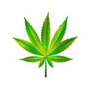 Abstract Cannabis Background Vector Illustration N12
