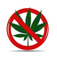 Abstract Cannabis Background Vector Illustration N14