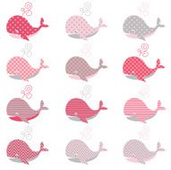 Cute Pink Whale pattern