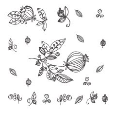 leaves and berries set