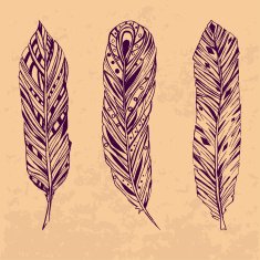 Three hand drawn feathers