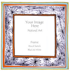 flower star pencil sketch picture frame color