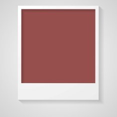 Trendy color marsala 2015 Polaroid frame