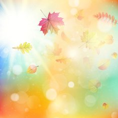 Leaves in autumn forest EPS 10