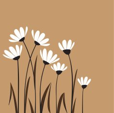 Flowers N208