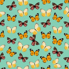 Seamless colorful background made of different butterflies N2