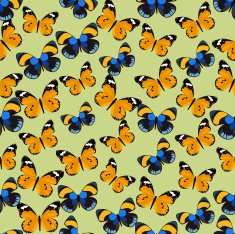 Seamless colorful background made of different butterflies N3