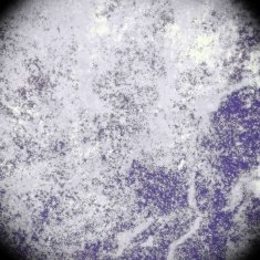 Grunge abstract background N1102