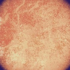 Grunge abstract background N1103