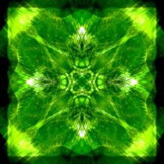 Green abstract pattern N10